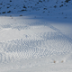 Illustration for article titled Single Man Turns Alpine Hillside Into Giant Space Invaders